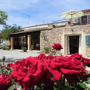 https://agroturismo-na-set-centes.balearic-islands.net
